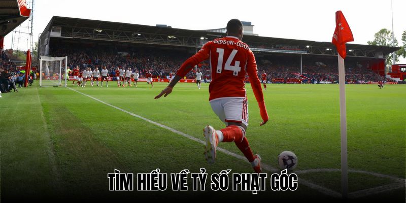 Tỷ số phạt góc là thông số quan trọng trong mọi trận cầu 